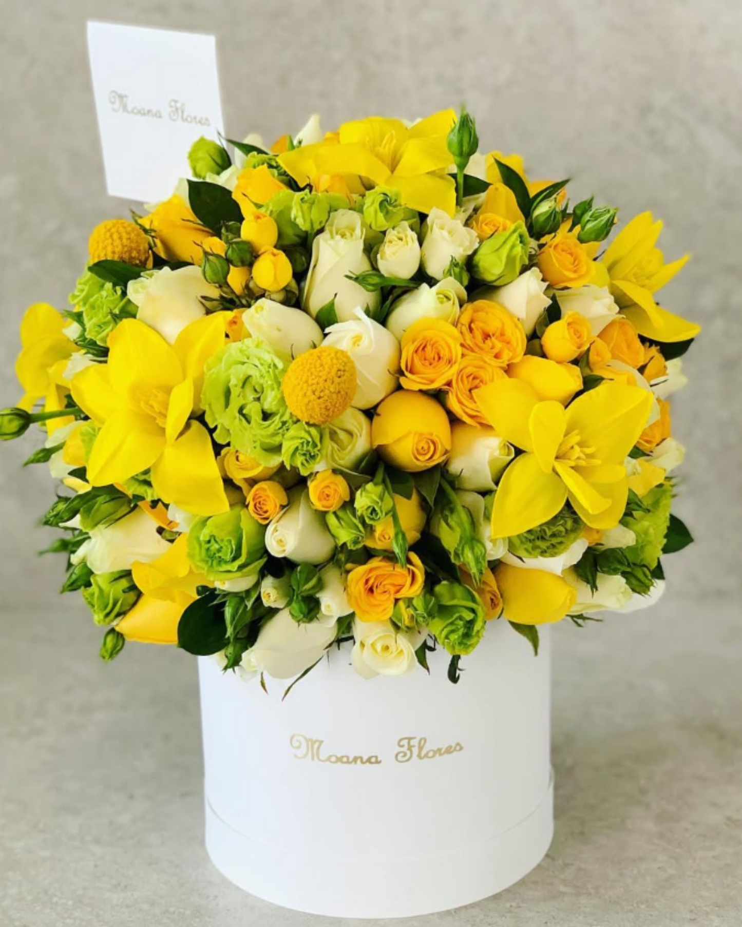 Domo rosas amarillas, blancas, lisianthus verde, tulipanes amarillos.