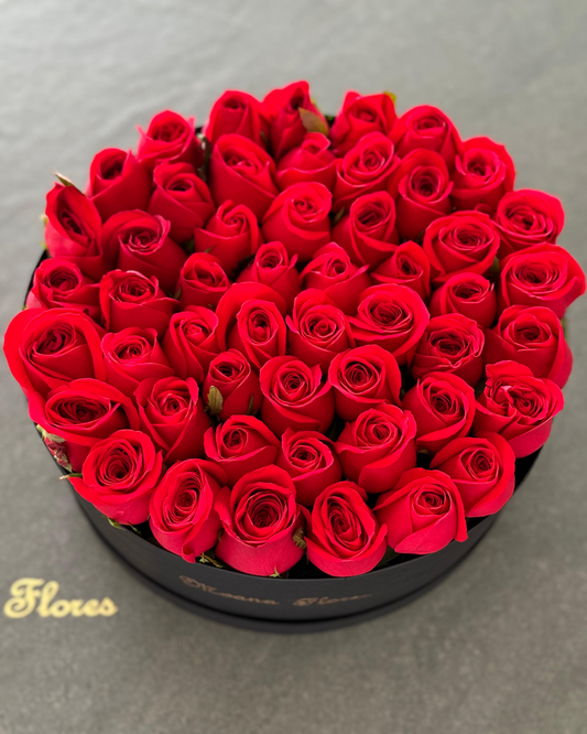 Rosas rojas en caja circular negra.