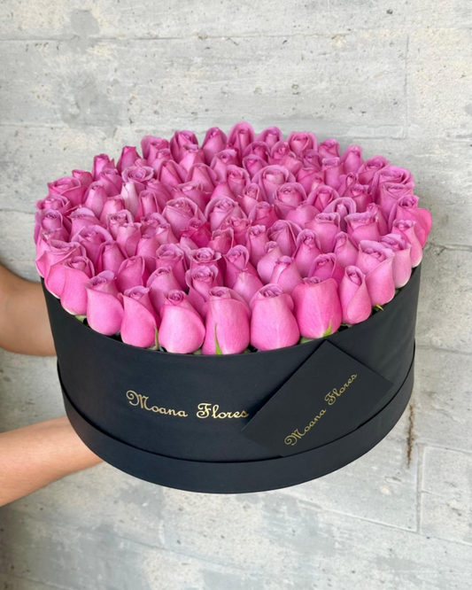 Rosas moradas.