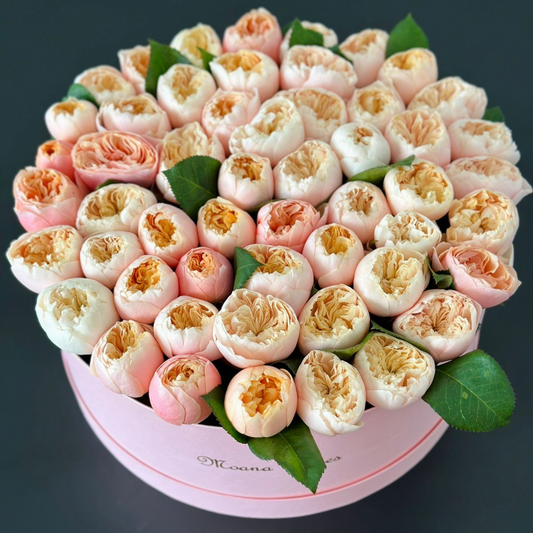 Rosas inglesas.