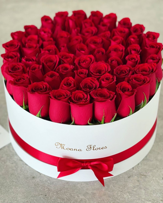 Rosas rojas en la caja circular blanca.