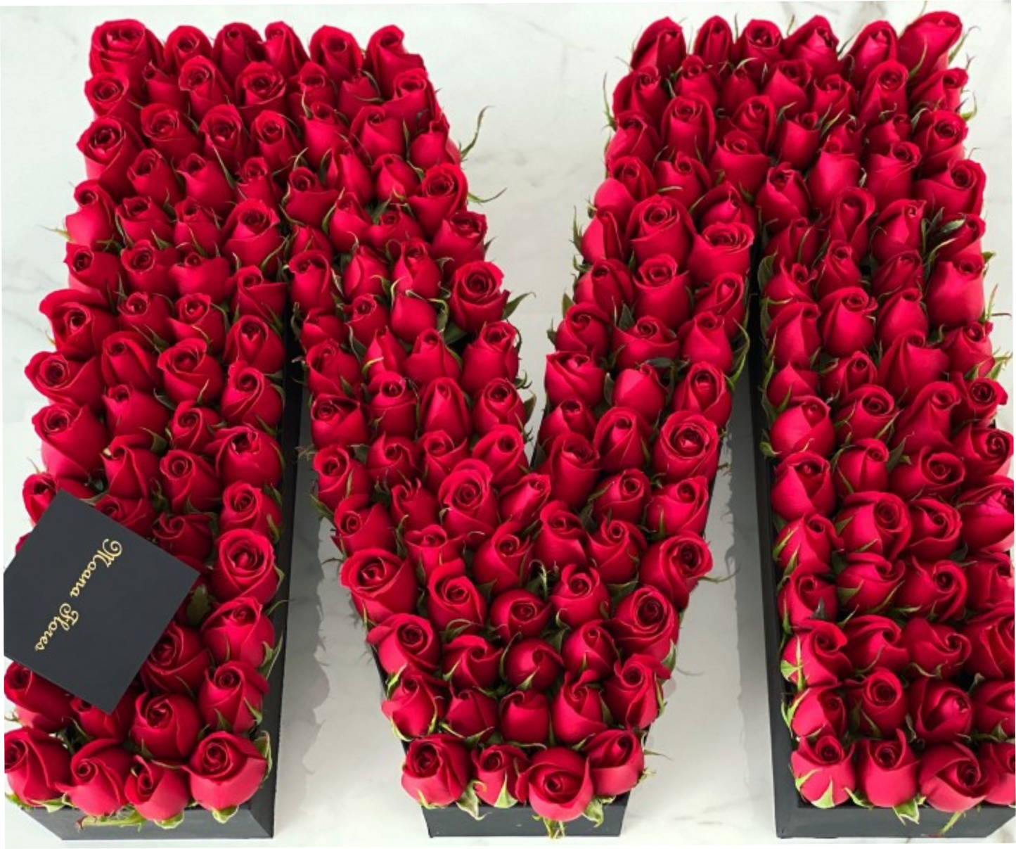 Letra con rosas rojas.