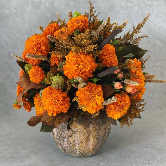 Calabaza cempasúchil follaje seco.