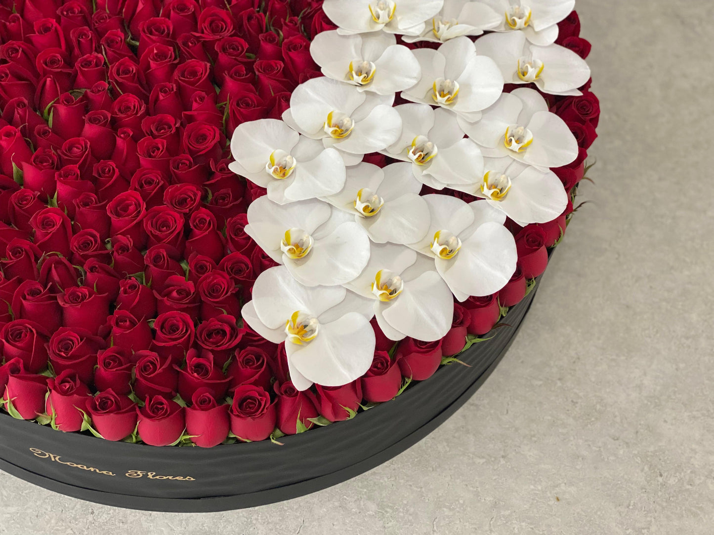 Rosas rojas con orquídeas blancas en caja circular grande.