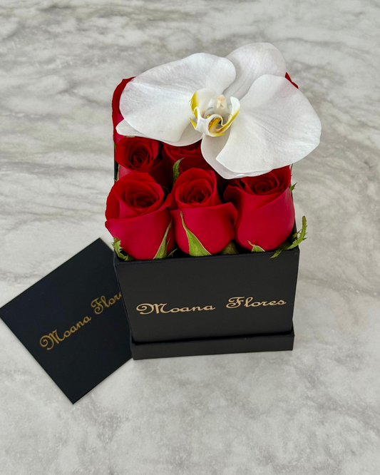 Rosas rojas con orquídea blanca cuadrada pequeña negra