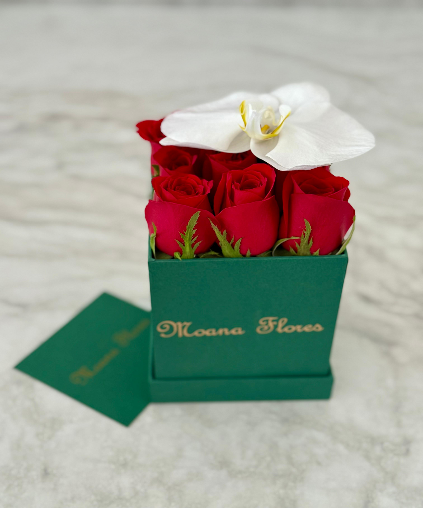 Rosas rojas cuadrada pequeña verde pino