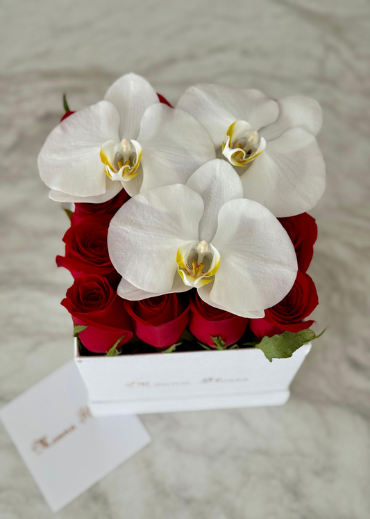 Rosas rojas con orquídeas blancas en caja circular blanca