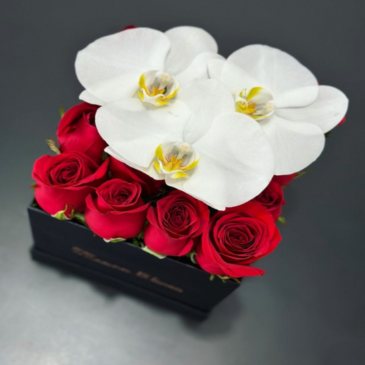 Rosas rojas con orquídeas blancas en caja cuadrada negra pequeña