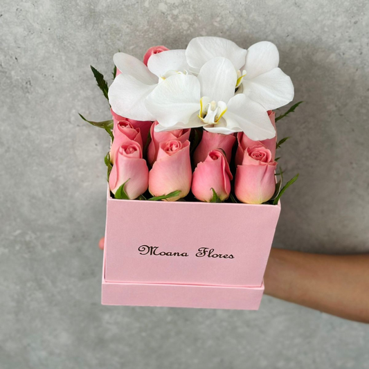 Rosas hermosas con orquídeas blancas