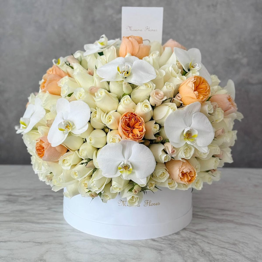 Domo premium rosas blancas,  rosas inglesas con orquídeas blancas.