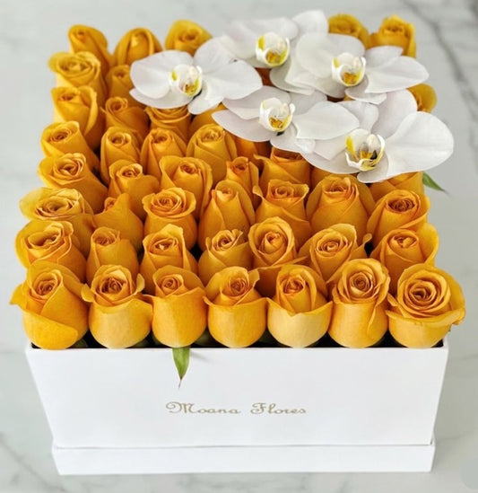 Rosas amarillas con orquídeas blancas en caja cuadrada.