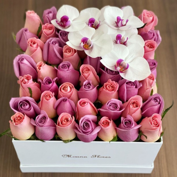 Rosas moradas, rosas hermosas con orquídeas blancas.
