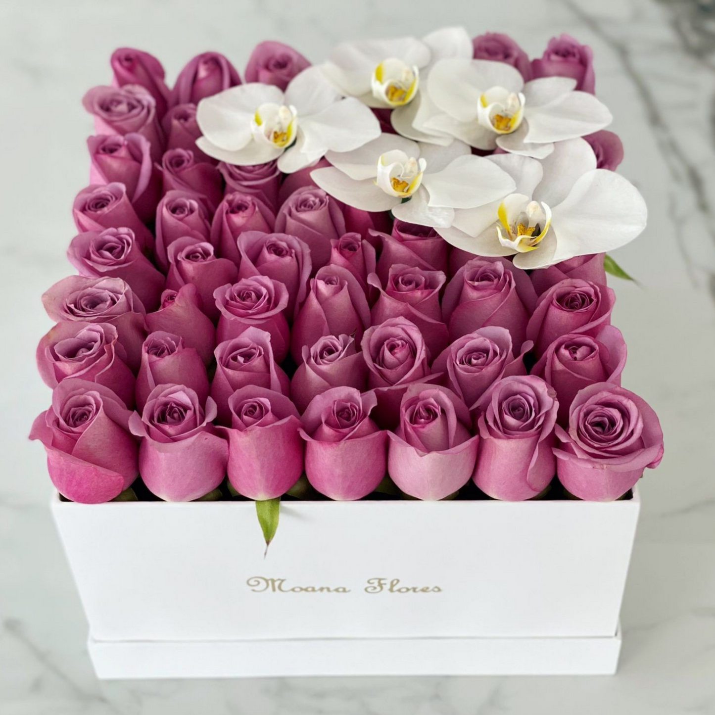 Rosas moradas con orquídeas blancas