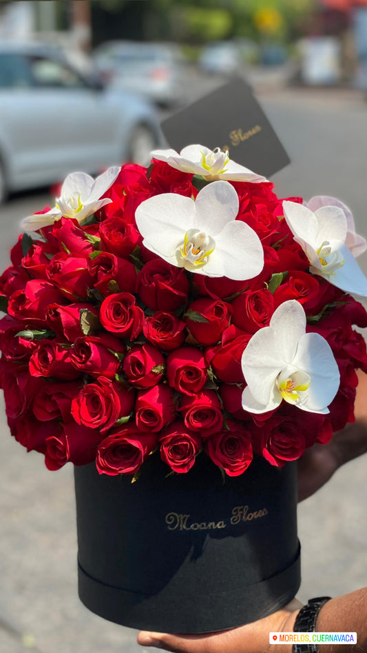 Domo rosas rojas con orquídeas blancas.
