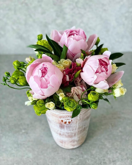 Peonias en florero de trinitate