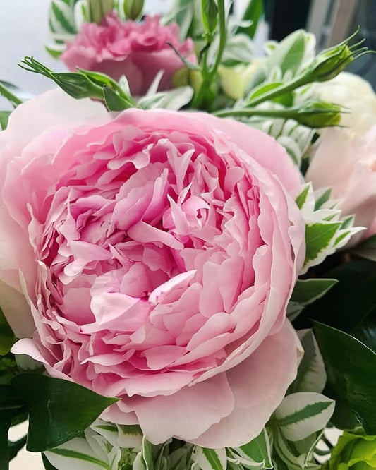 Ramo de peonias y lisianthus