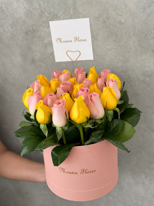 Rosas amarillas y hermosas caja Rosa.