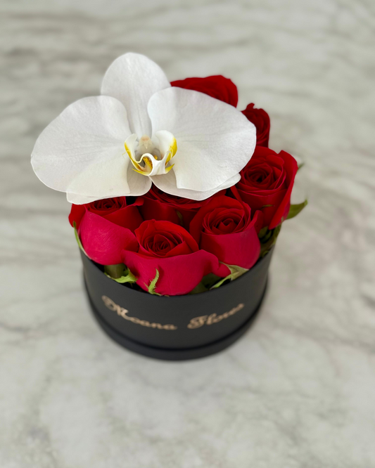 Rosas rojas con orquídea blanca circular pequeña negra