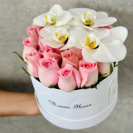 Rosas caricias con orquídeas blancas
