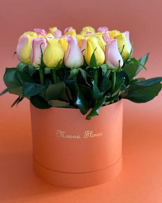 Rosas amarillas y rosas hermosas con follaje