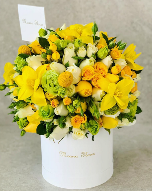 Domo rosas amarillas, blancas, lisianthus verde, tulipanes amarillos.
