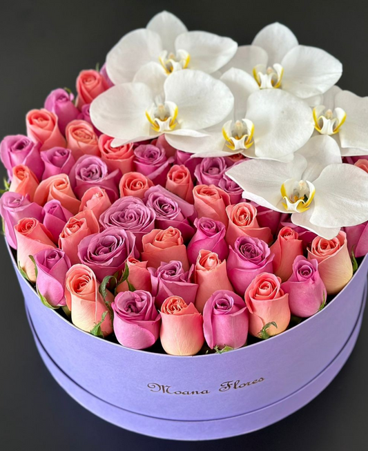 Rosas hermosas y moradas con orquídeas blancas
