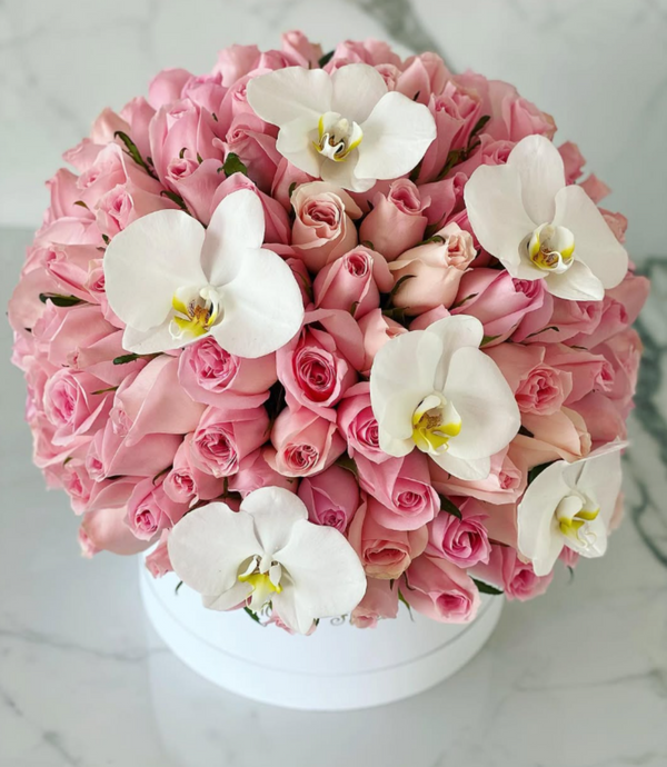 Domo premium rosas caricias con orquídeas blancas.