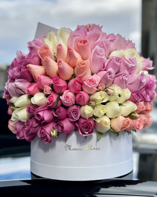 Domo premium rosas moradas, caricias, nautica, hermosas, blancas