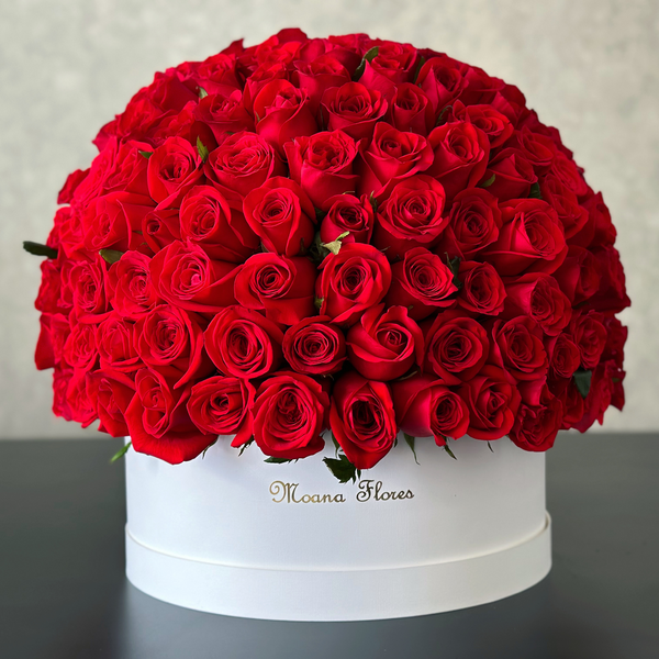 Domo premium rosas rojas en caja circular blanca.