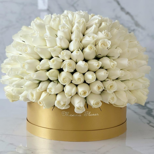 Domo premium rosas blancas