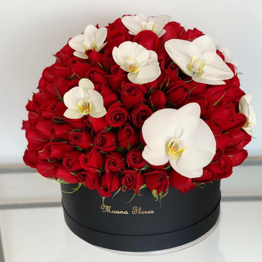 Domo premium rosas rojas con orquídeas blancas