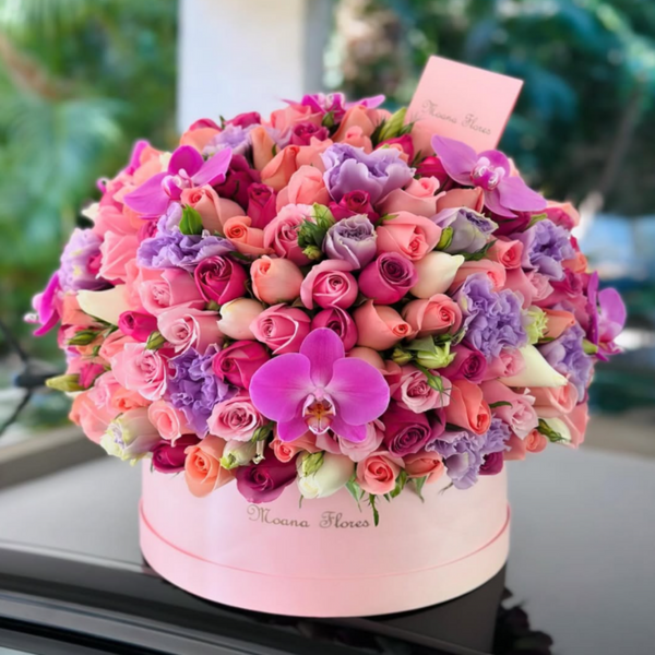 Domo premium rosas moradas, caricias, blancas, náuticas,  con orquídeas moradas.