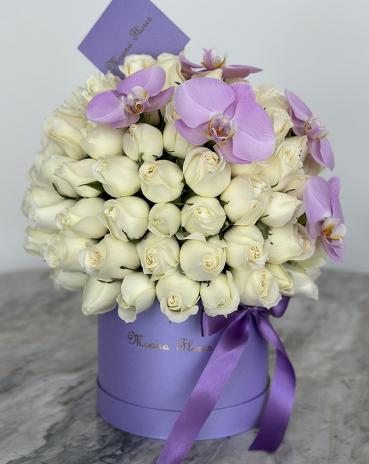 Domo rosas blancas con orquídeas lilas
