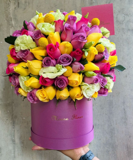 Domo rosas amarillas, moradas, fucsia, craspedias con lisianthus blanco