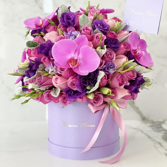 Domo rosas moradas, caricias lisianthus morado, follaje, orquídeas moradas