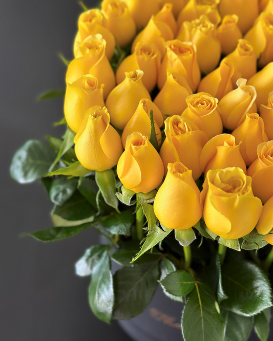 Rosas amarillas con follaje