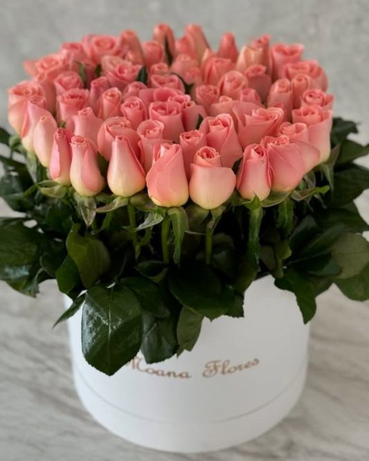Rosas hermosas con follaje
