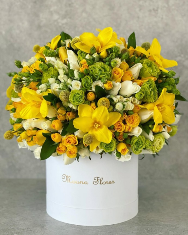 Domo premium rosas blancas, rosas mini amarillas, lisianthus verde, tulipanes amarillos.
