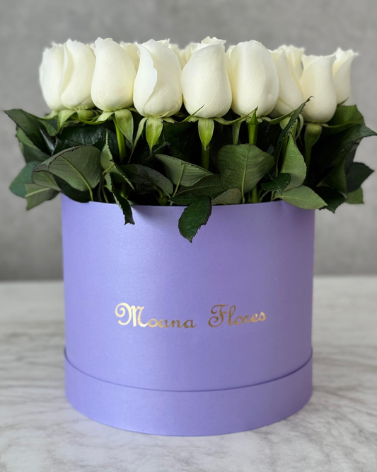 Rosas blancas con follaje en caja circualar alta