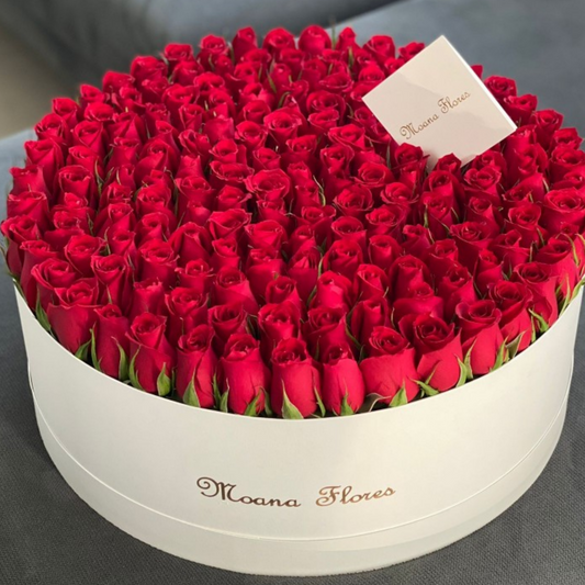 Rosas rojas en caja circular blanca mediana.