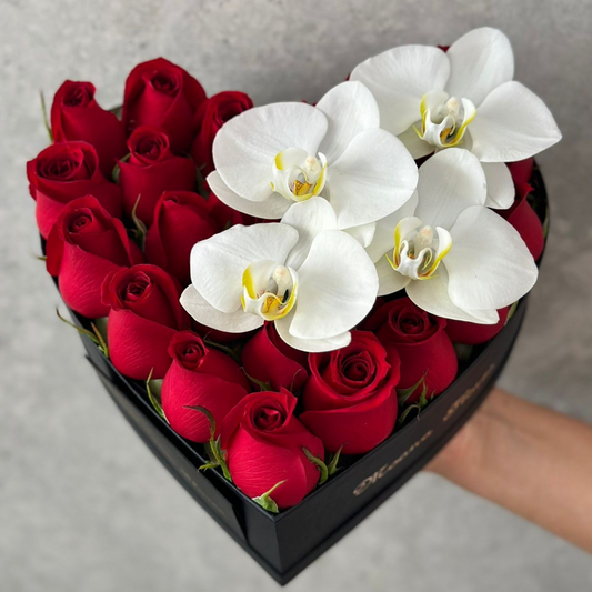Rosas rojas con orquídeas blancas en caja de corazón negro mini.