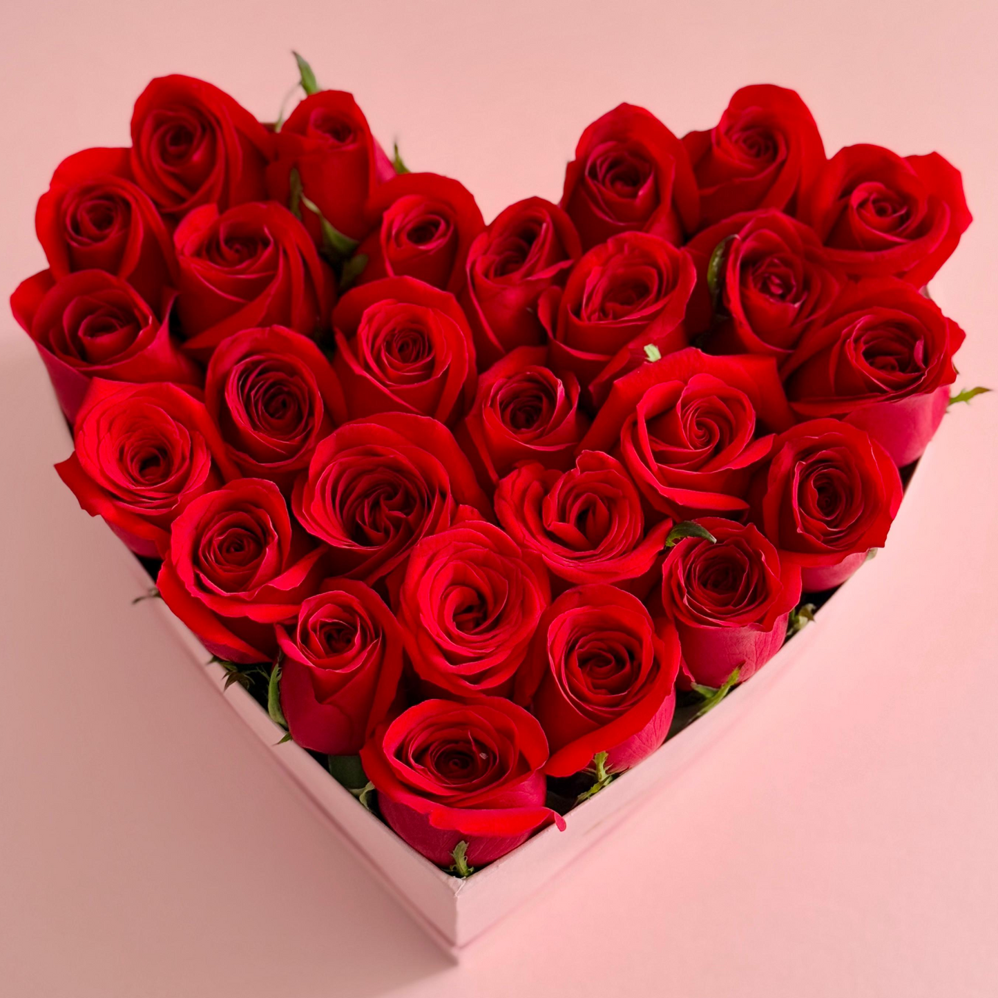 Rosas rojas corazón mini rosa.