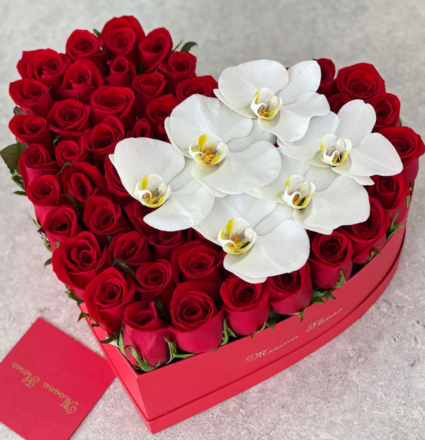 Rosas rojas con orquídeas blancas en caja roja regular.
