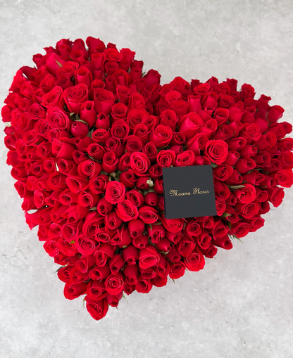 Rosas rojas con volumen.