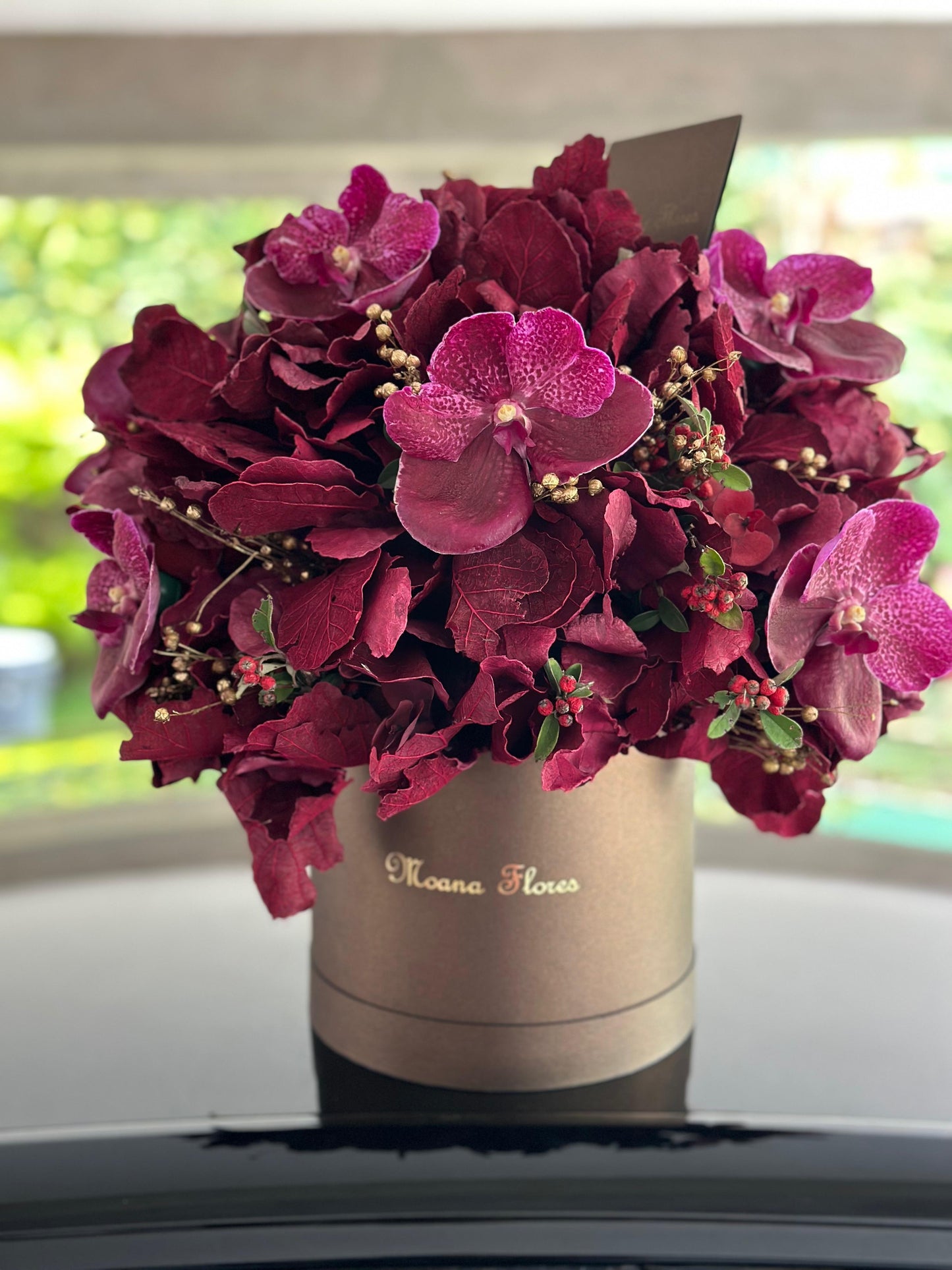 Domo follajes secos y frescos cálidos con orquídeas.