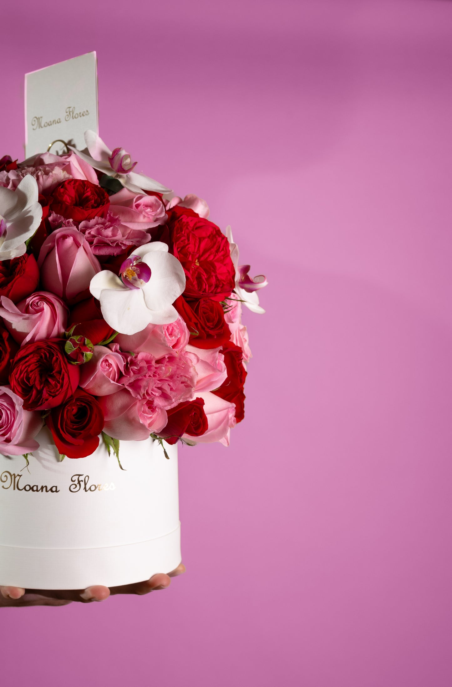 Domo rosas varios tonos y orquídeas blancas centro rojo.
