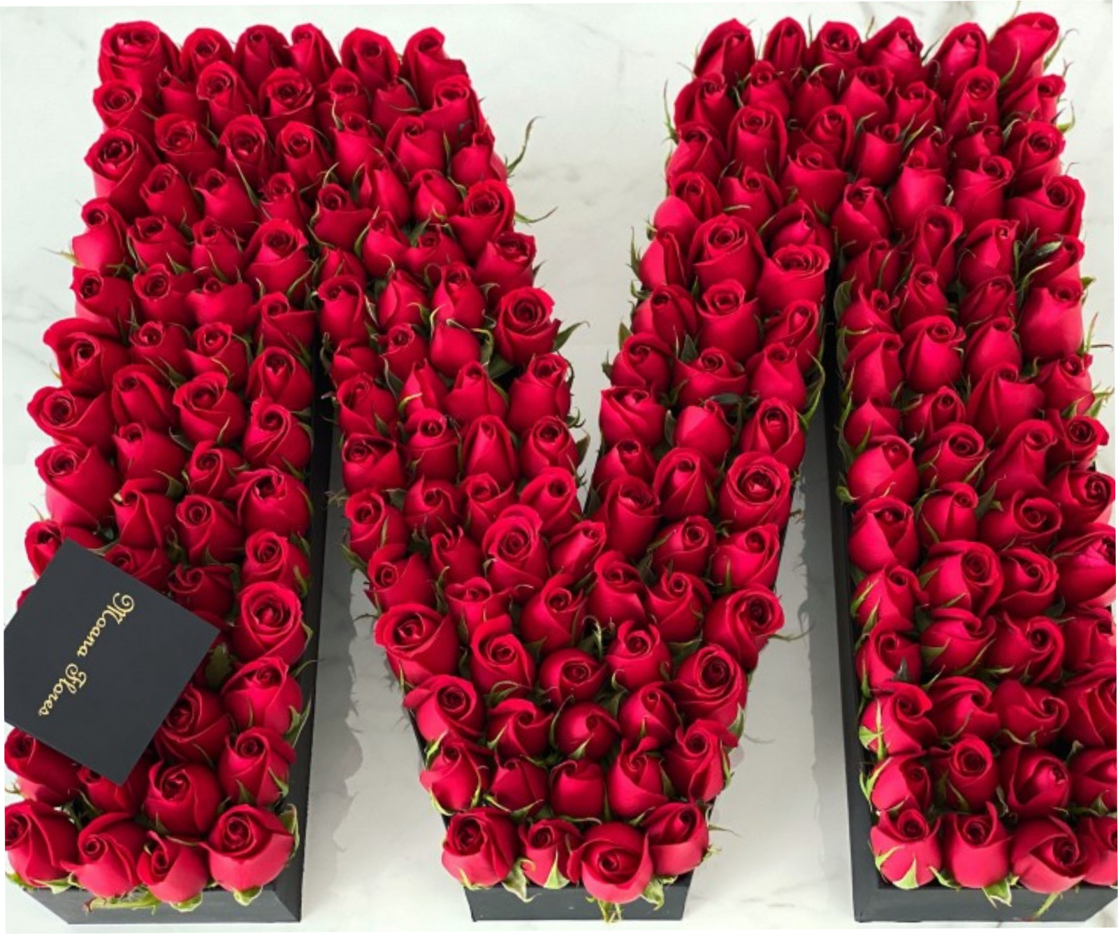 Letra con rosas rojas.