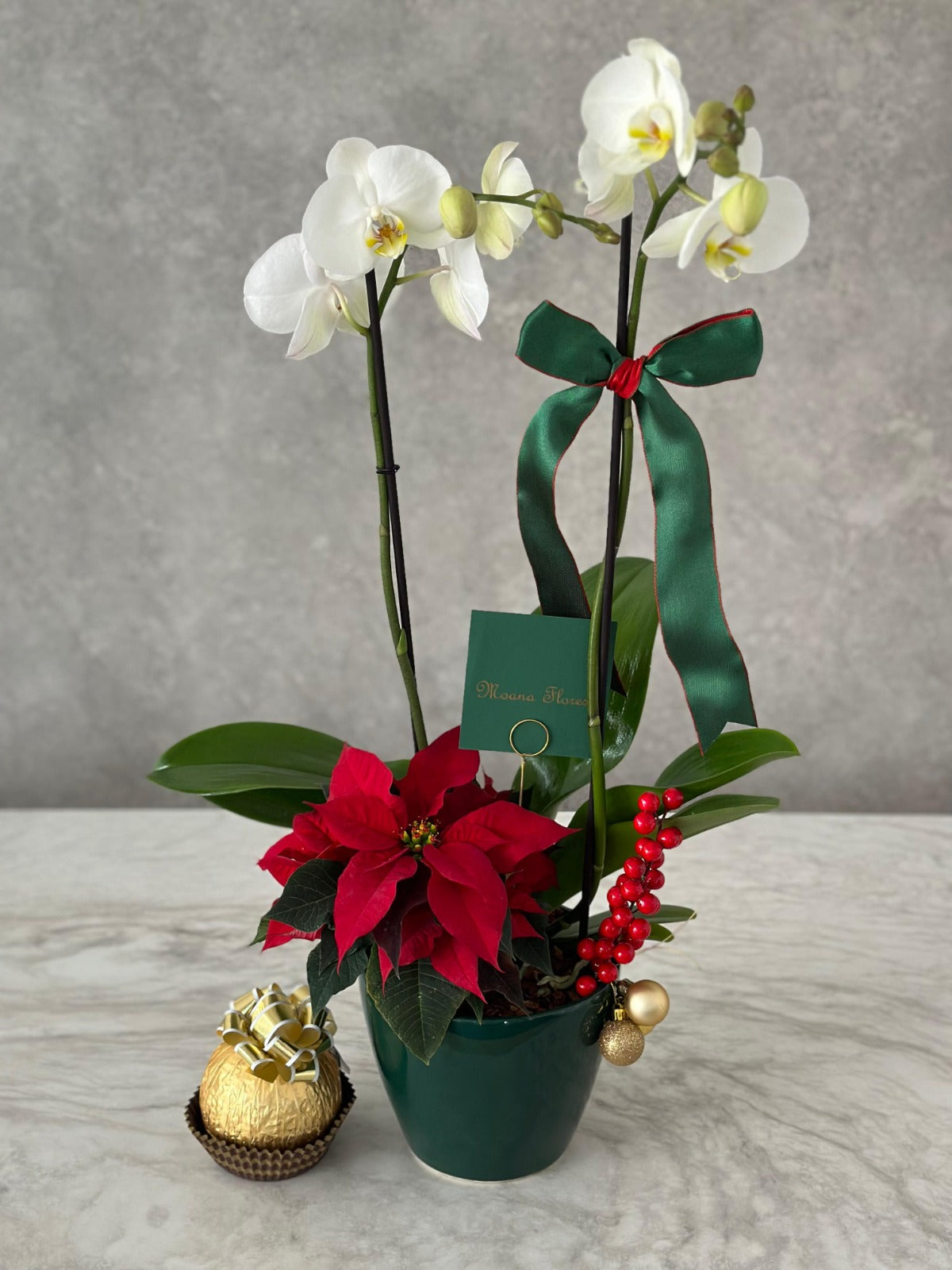 Orquídeas blancas en maceta verde.