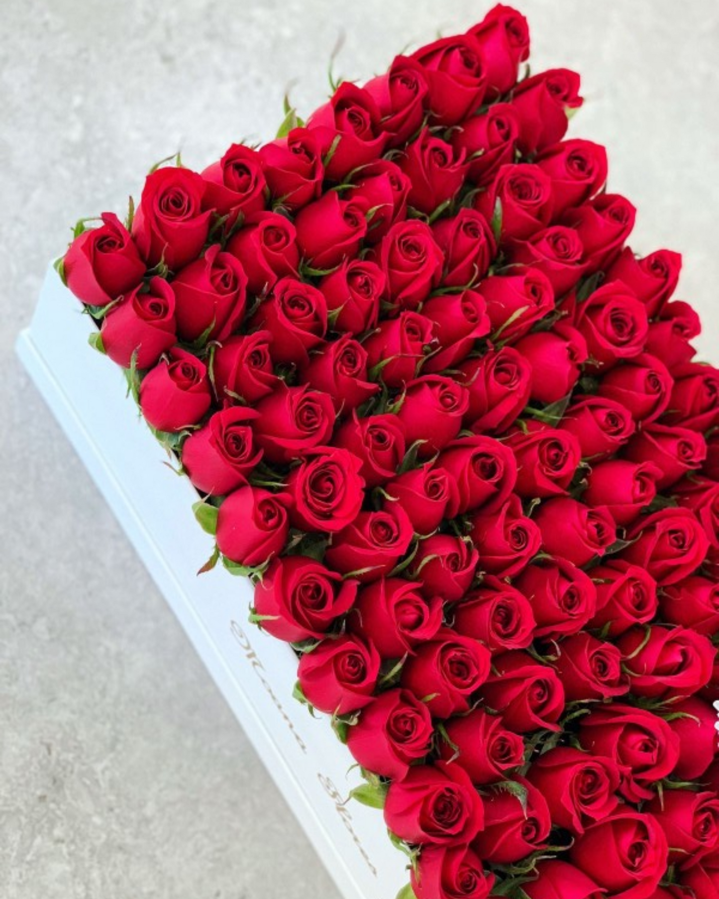 Rosas rojas en caja rectangular blanca mediana