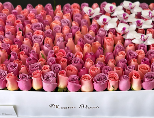 Rosas hermosas y moradas con orquídeas blancas